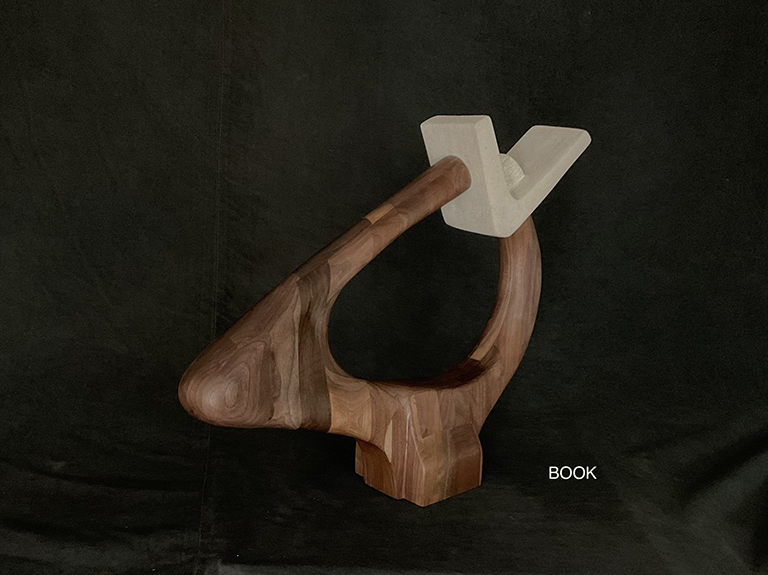 Book TableTop Walnut Wood
